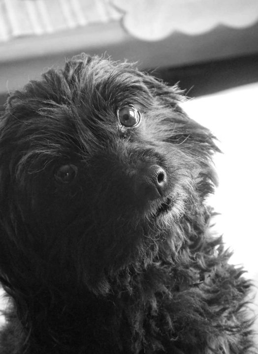 Pose - Hors Sentiers