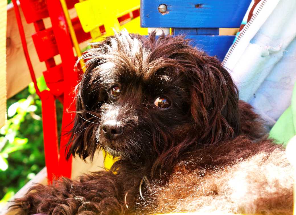 Nostalgie - Hors Sentiers