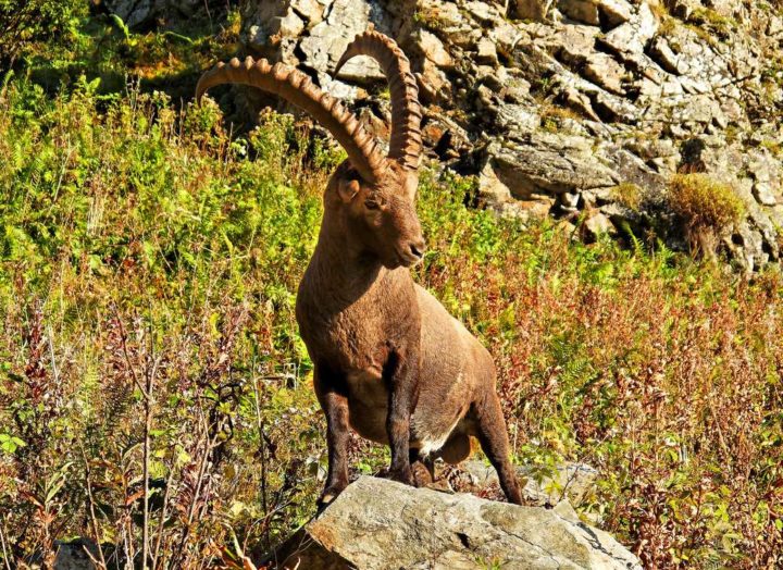 Réal - Hors Sentiers