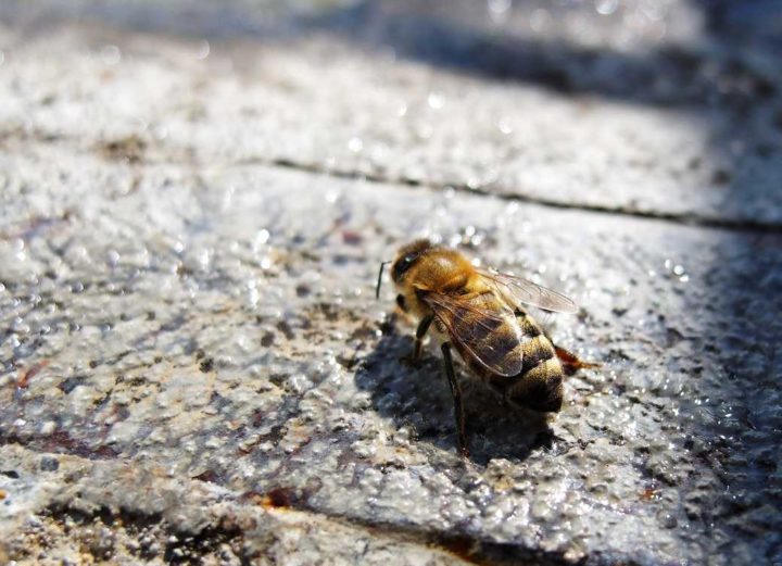 Décolage imminent - Hors Sentiers