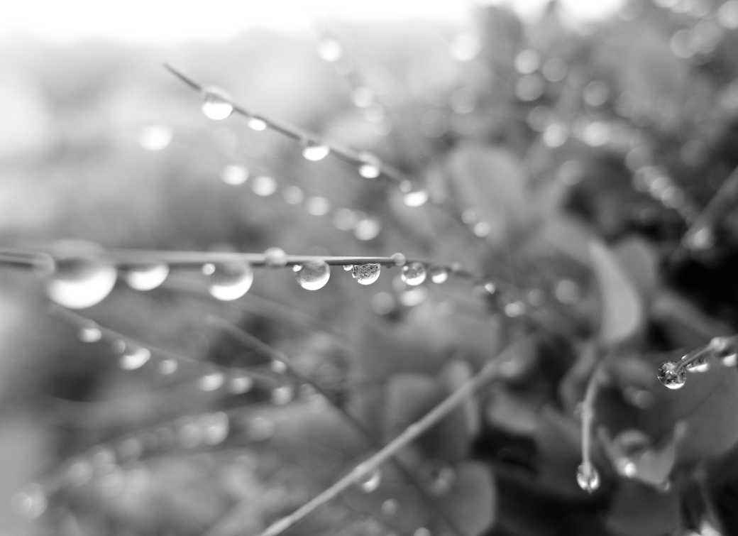 Après la pluie - Hors Sentiers
