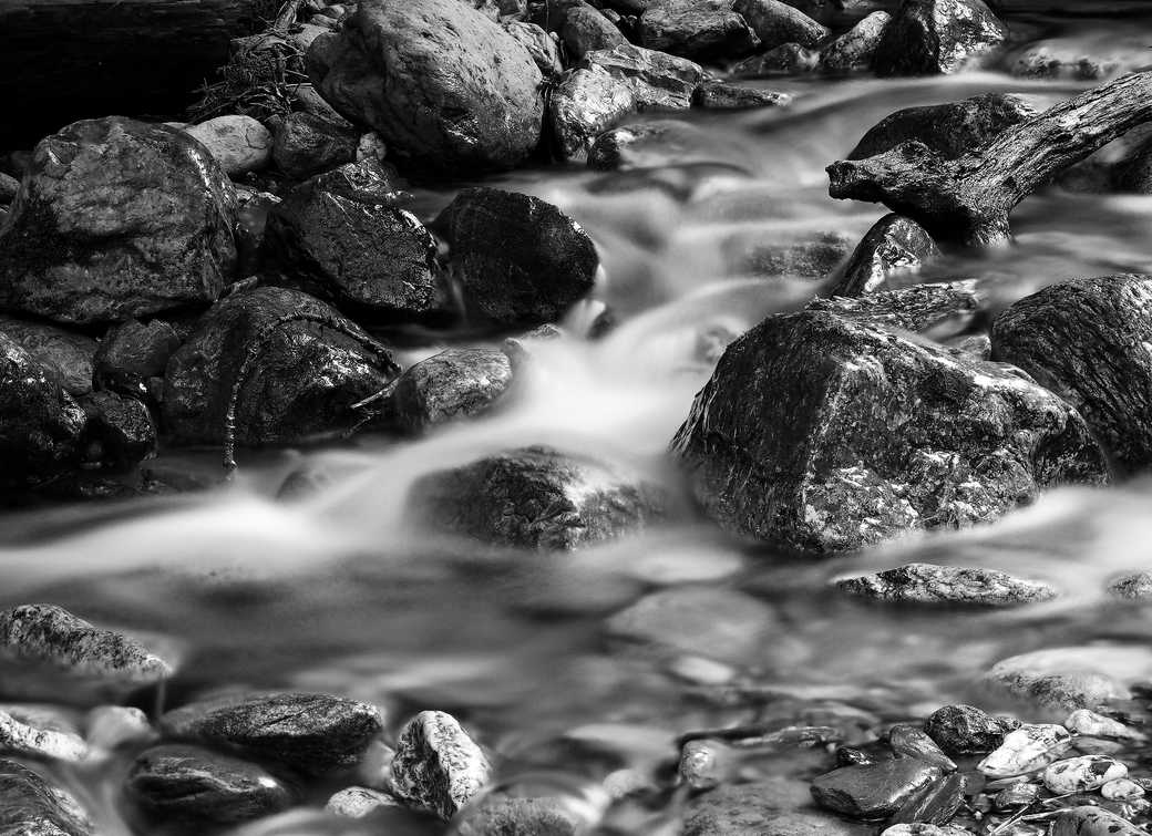 La vie en mouvement II - Hors Sentiers