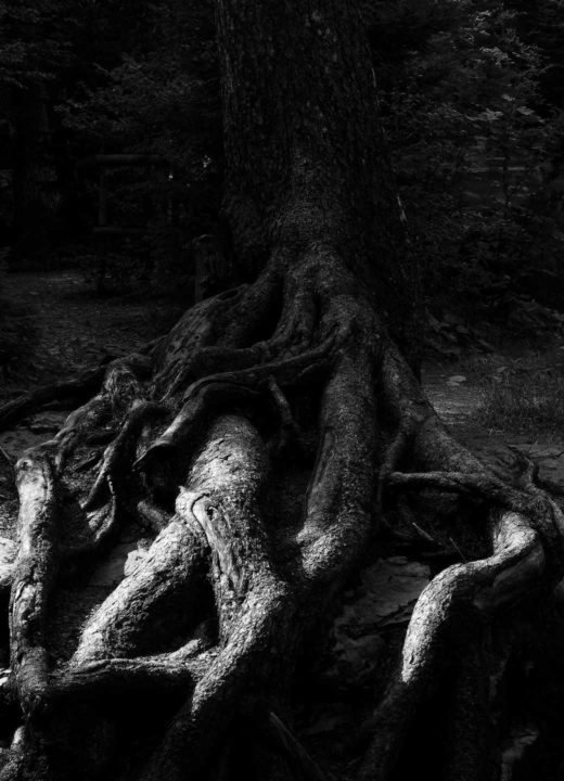 Ancrage - Hors Sentiers