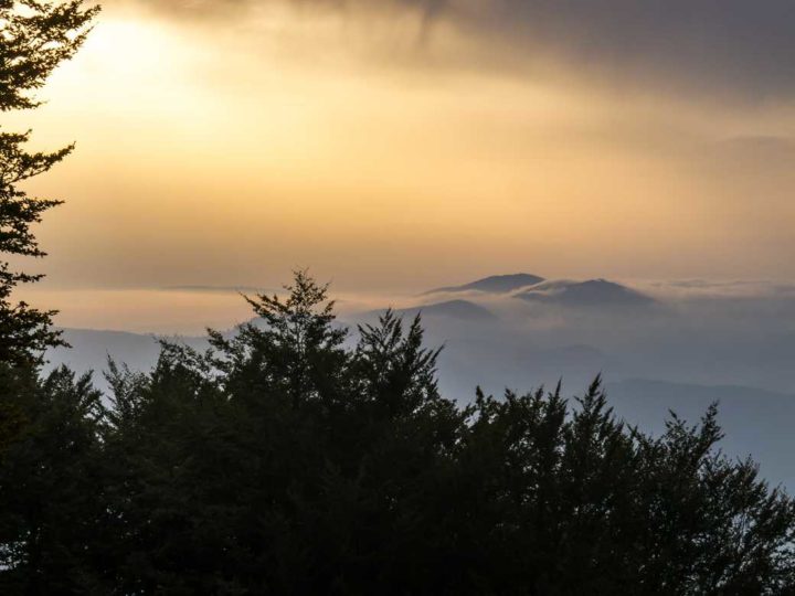 Tendresse vosgienne - Hors Sentiers