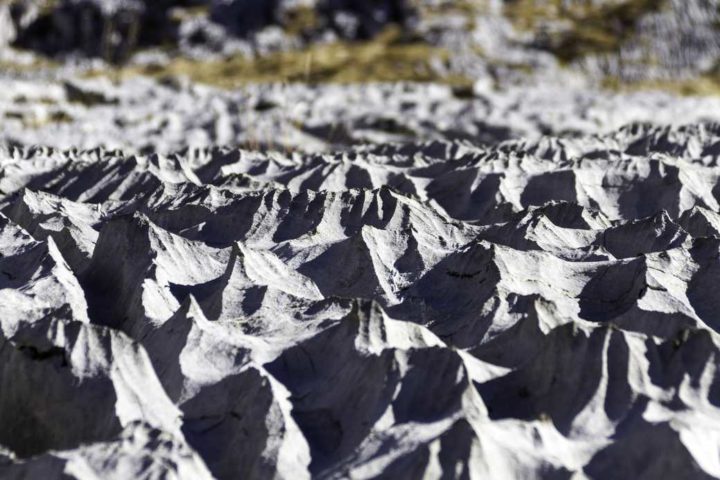 Maquette naturelle - Hors Sentiers