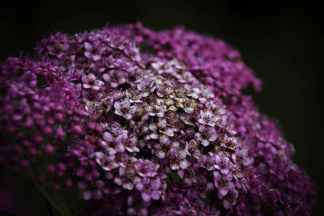 Emergence - Hors Sentiers